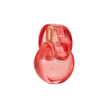 Bvlgari Omnia Coral Eau De Toilette • 100ml