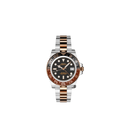 Seiko Mod  GMT “Root Beer”