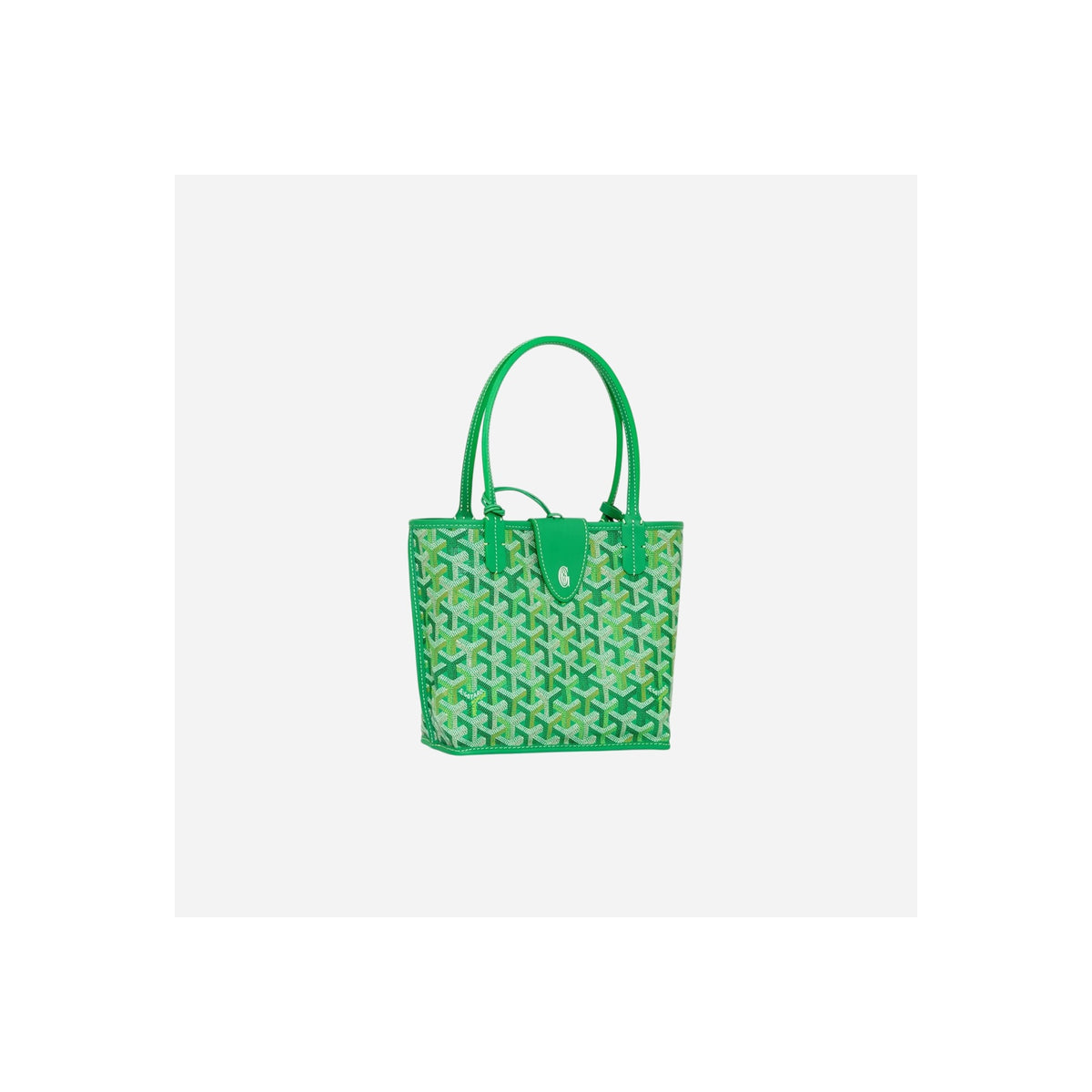 Goyard Anjou Mini bag Multicolored Meadow Green